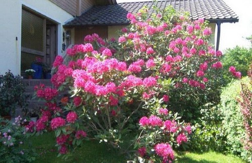 Bobrach Apartment | 70 m² Apartment ∙ 2 bedrooms ∙ 4 guests