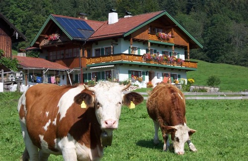 Inzell Apartment | 70 m² Apartment ∙ 2 bedrooms ∙ 5 guests