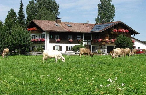 Burgberg Apartment | 70 m² Apartment ∙ 2 bedrooms ∙ 6 guests