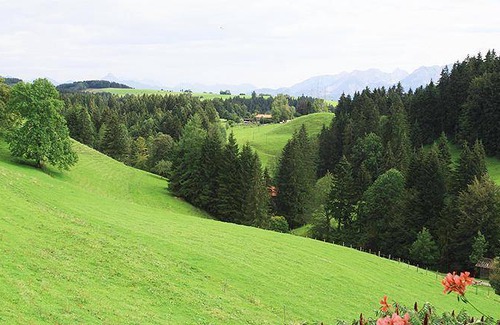 Oy-Mittelberg Apartment | 72 m² Apartment ∙ 1 bedroom ∙ 4 guests