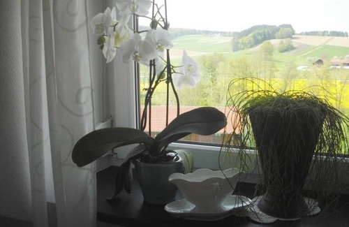 Triftern Apartment | 75 m² Apartment ∙ 1 bedroom ∙ 3 guests