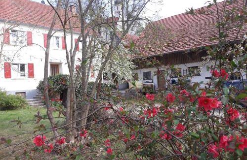 Ichenhausen Apartment | 80 m² Apartment ∙ 3 bedrooms ∙ 7 guests