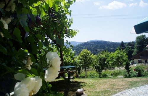 Wegscheid Apartment | 80 m² Apartment ∙ 1 bedroom ∙ 2 guests