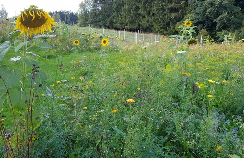 Ottenzell Apartment | 85 m² Apartment ∙ 2 bedrooms ∙ 4 guests