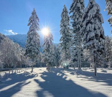 Marquartstein Apartment | Aktiv im Achental