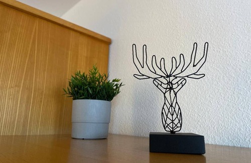 Waldkirchen Apartment | Apartment ∙ 3 bedrooms ∙ 6 guests