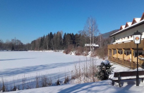 Arrach Apartment | Apartment Am Hohen Bogen-8