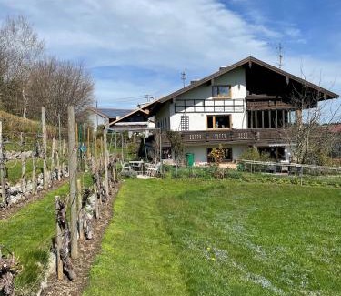 Rimsting Apartment | Apartment Am Weinberg