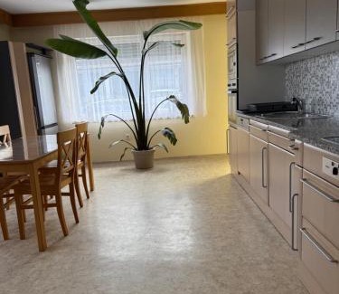 Schnaittenbach House | Apartment Natali
