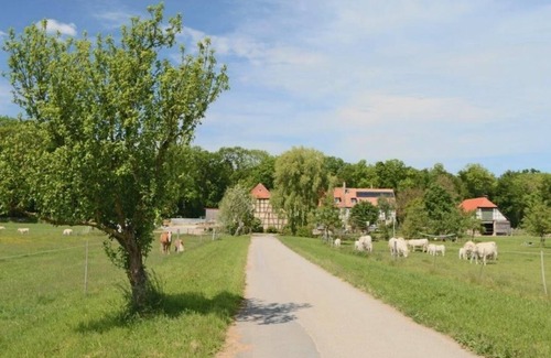 Iphofen Apartment | Apartment Speckfeld, 50 sqm, 1 bedroom, 1 living/bedroom, max. 4 people