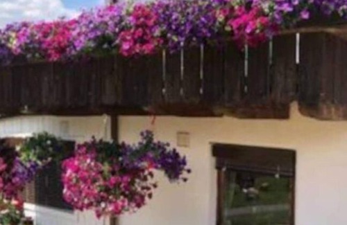 Obsteig Apartment | Appartement 111 bis 3 Personen Pool
