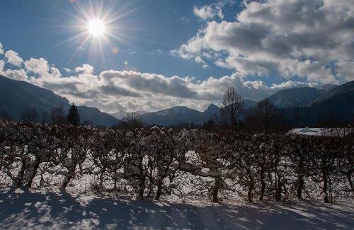 Tegernsee Bed & Breakfast | Bed and breakfast ∙ 2 guests