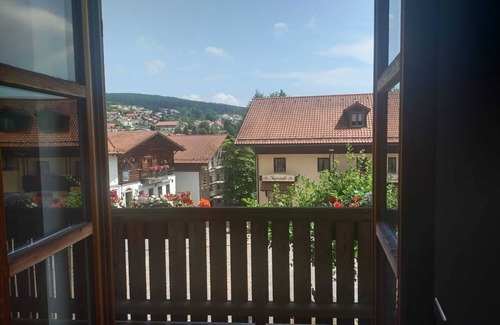 Sankt Englmar Apartment | Cozy 1-bedroom apartment in tranquil Sankt Englmar with WiFi