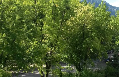 Gmain Apartment | Cozy vacation apartment, 35sqm, separate kitchen, balcony with mountain view