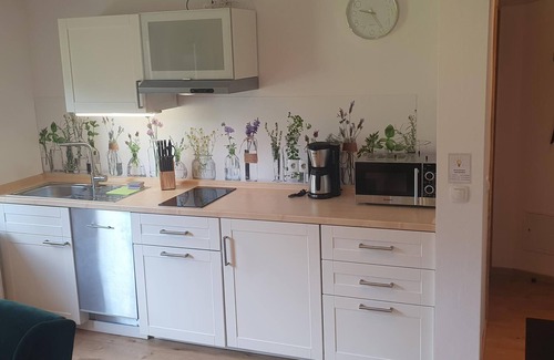 Anzenbach Apartment | Ferienwohnung 4, 1 Schlafzimmer, 1 Wohn-esszimmer mit Küche, Du-wc