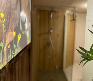 Schollang Apartment | Ferienwohnung am Mühlbach 21 mit Bergbahn unlimited