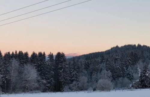 Kirchdorf im Wald Apartment | Ferienwohnung Ramona - idyllisch und charmant