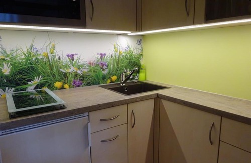 Oberjoch Apartment | Ferienwohnung Wintergerst