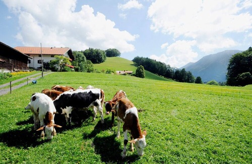 Ruhpolding Apartment | Fewo , Balkon, Kochnische, 2 Schlaf- und 1 Wohnzimmer, Wlan, max 5 Pers