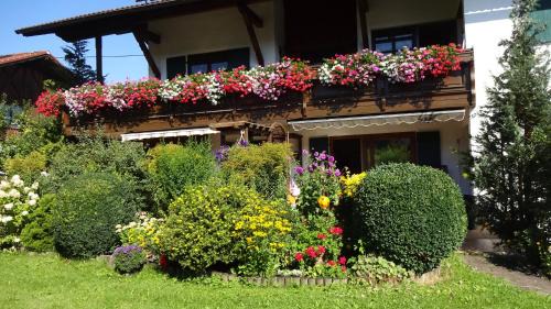 Rosshaupten Apartment | Gästehaus Böck in Roßhaupten