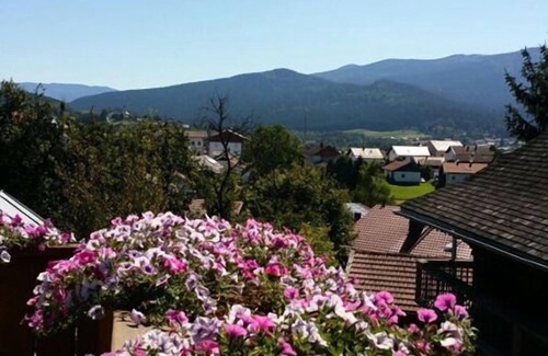Stadlern Apartment | Gemütliche Ferienwohnung (60qm) für 2-3 Personen im Luftkurort Arrach