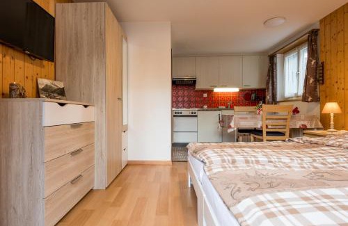 Saas Grund Apartment | Haus Alpenblick