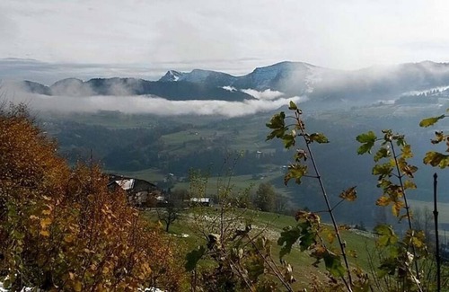 Steibis Apartment | Holiday apartment for 3 guests with 32m² in Oberstaufen (123012)