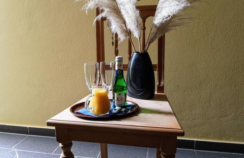 Bad Goegging Resort | Private room ∙ 1 guest