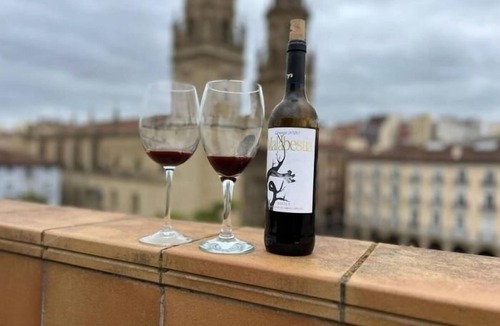 Logrono Historic Centre Apartment | ÁTICO PLAZA CATEDRAL