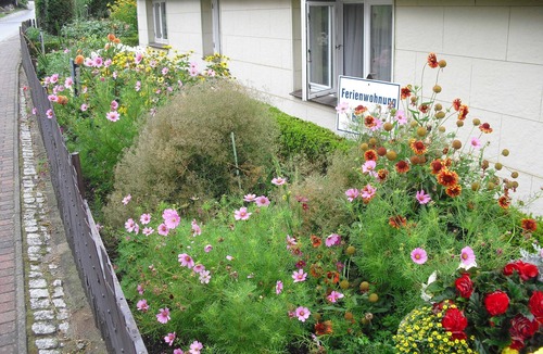 Thiessow Cottage | 1 Raum-fewo Oststube 18 qm - Oststube