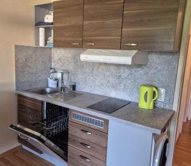 Sankt Englmar Apartment | 1-Zimmer-Apartment mit Balkon, kostenloser Schwimmbadnutzung und Blick ins Grüne