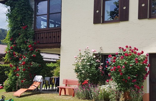 Habischried Apartment | 2 apartments-with-heart/MTB- Bikepark Geißkopf/Trailpark Bischofsmais!