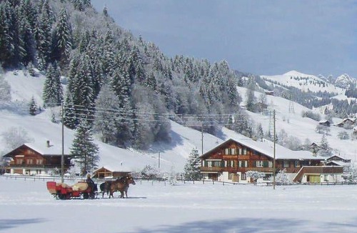 Gstaad Apartment | 2-Bettwohnung by Interhome