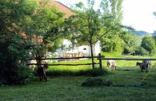 Hebertsfelden Apartment | 2-stöckiges Ferienhaus mit 4 Schlafzimmern und großer Südterrasse