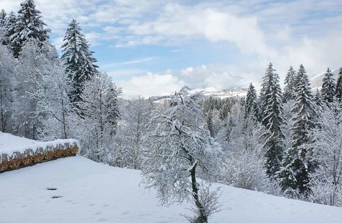 Reit im Winkl Apartment | 22 m² Apartment ∙ 2 guests