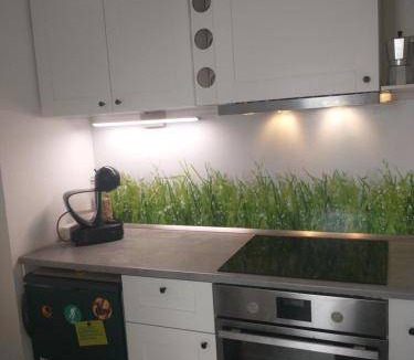 Bad Aibling Apartment | 23 m² Apartment ∙ 1 bedroom ∙ 2 guests