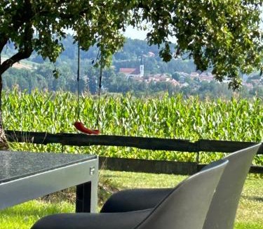 Vilshofen House | 23 Mattenham - Ruhe und Erholung in Alleinlage, Sauna