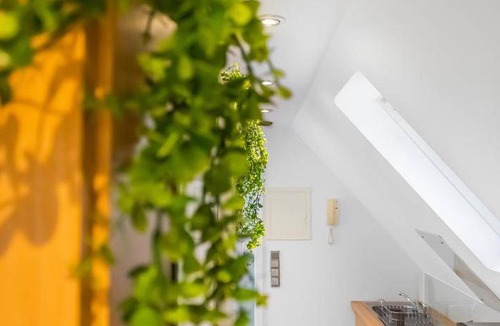 Weststadt Apartment | 24 m² Apartment ∙ 1 bedroom ∙ 2 guests