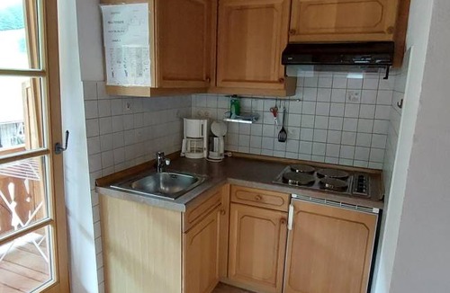 Weissbach an der Alpenstrasse Apartment | 25 m² Apartment ∙ 2 guests