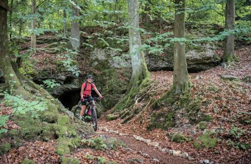 Mistelgau House | 3 Zimmer App Fränkische Schweiz I Miselgau-Obernsees