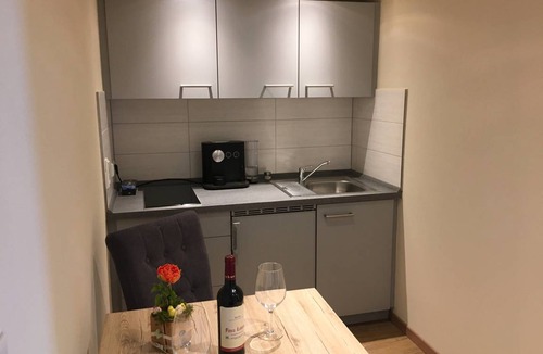 Moessingen Apartment | 31 m² Apartment ∙ 1 bedroom ∙ 2 guests