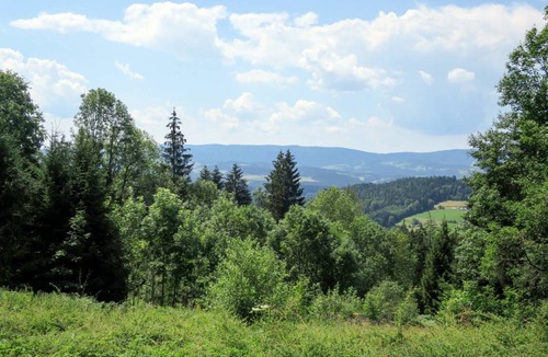Viechtach Other | 310 m² Accommodation ∙ 8 bedrooms ∙ 25 guests
