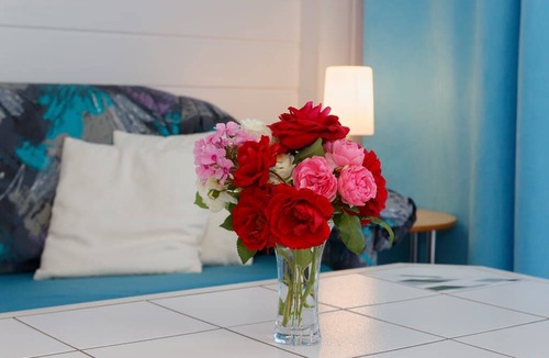 Obernzell Apartment | 33 m² Apartment ∙ 2 guests
