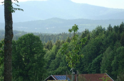 Neuschoenau Apartment | 38 m² Apartment ∙ 1 bedroom ∙ 2 guests