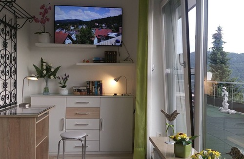 Badenweiler Apartment | 4-Star Apartment Lind, 73 sqm, Mountain View, Private Terrace, Wi-Fi