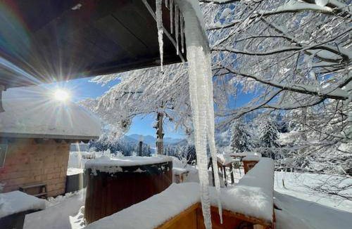 Jungholz Cabin | 40 m² Lodge ∙ 3 guests