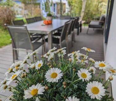 Niederfeld Apartment | 42 m² Apartment ∙ 1 bedroom ∙ 2 guests