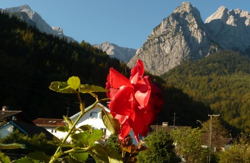 Hammersbach Apartment | 42 m² Apartment ∙ 1 bedroom ∙ 2 guests
