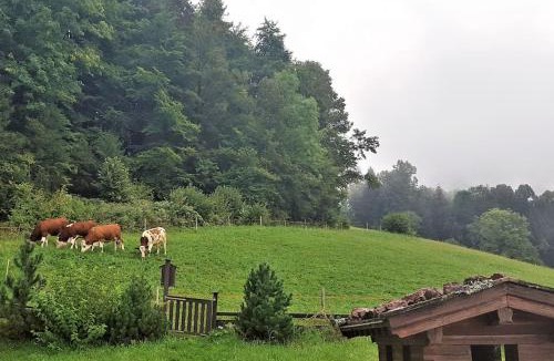 Schoenau am Koenigssee Apartment | 5 Bergpanorama und herrliche alpinen Almlandschaft für absolute Nichtraucher