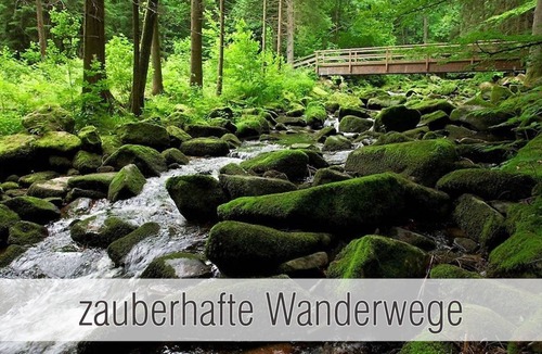 Waldkirchen House | 53 m² House ∙ 2 bedrooms ∙ 4 guests